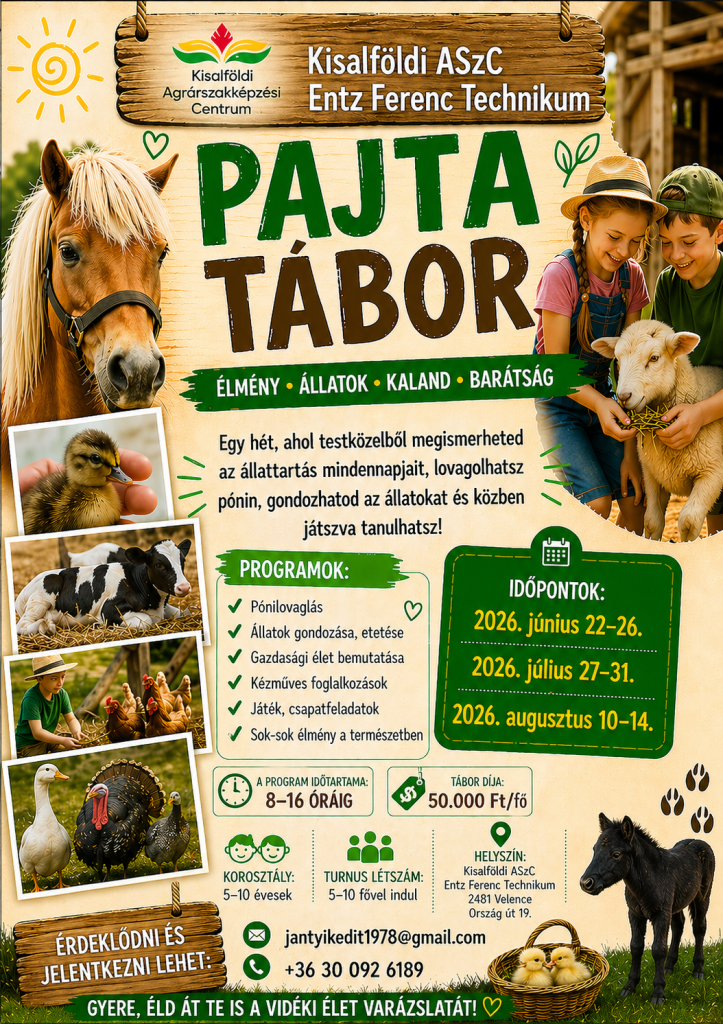 Pajta tábor