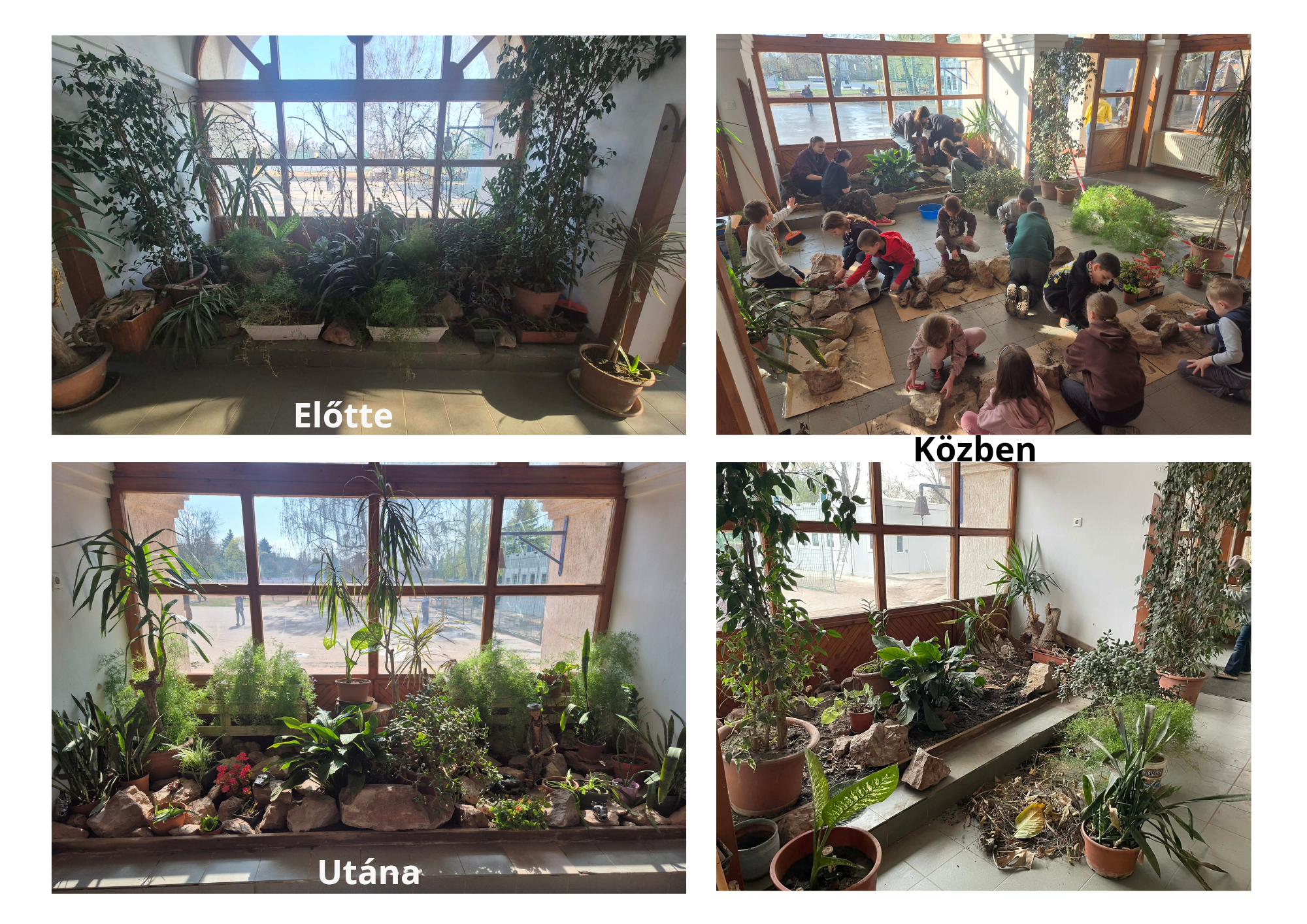 Telikert_20260401_174106_0000 (1)